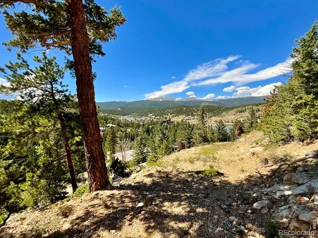 46 Pinecliff Trail Nederland, CO 80466