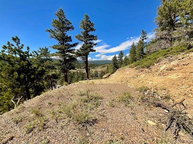 46 Pinecliff Trail Nederland, CO 80466