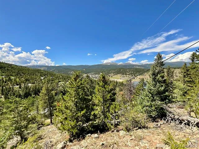 46 Pinecliff Trail Nederland, CO 80466