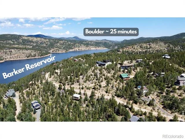 46 Pinecliff Trail Nederland, CO 80466