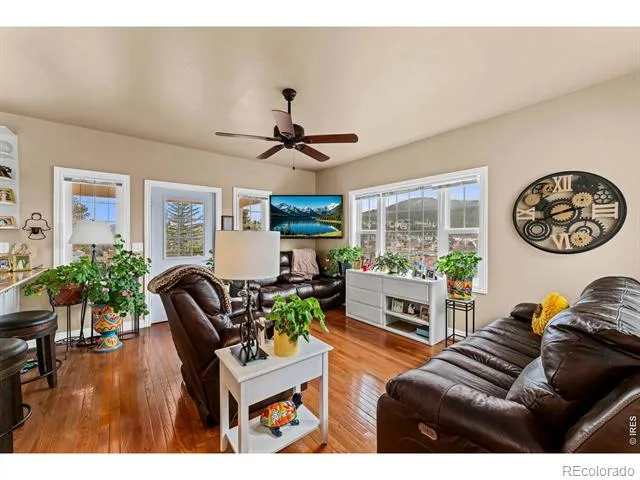 365 Bridge Street Nederland, CO 80466