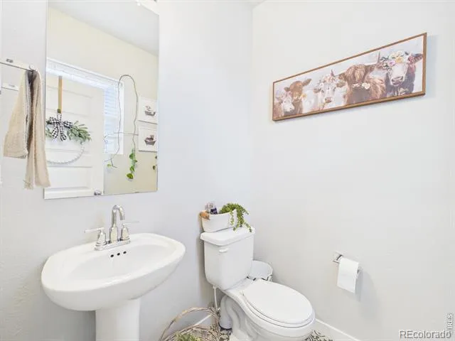 374 Pony Express Trail Ault, CO 80610
