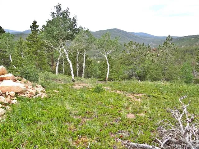 1601 Osage Trail Red Feather Lakes, CO 80545