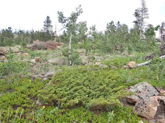 1601 Osage Trail Red Feather Lakes, CO 80545
