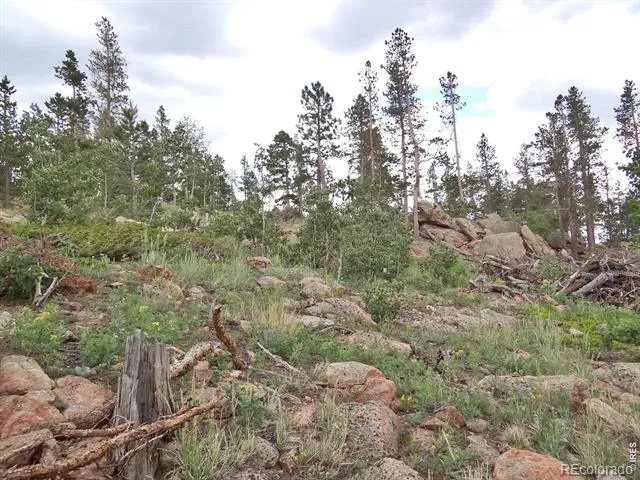 1601 Osage Trail Red Feather Lakes, CO 80545
