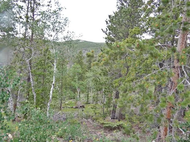 1601 Osage Trail Red Feather Lakes, CO 80545