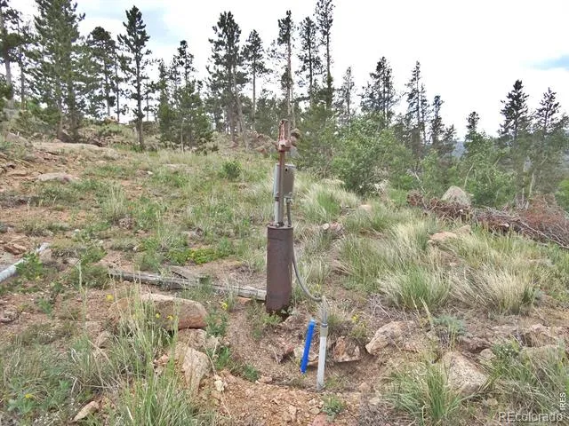 1601 Osage Trail Red Feather Lakes, CO 80545