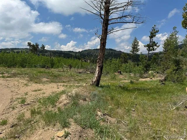 280 Rim Road Boulder, CO 80302