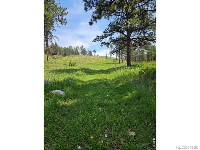 620 Davis Ranch Road Bellvue, CO 80512