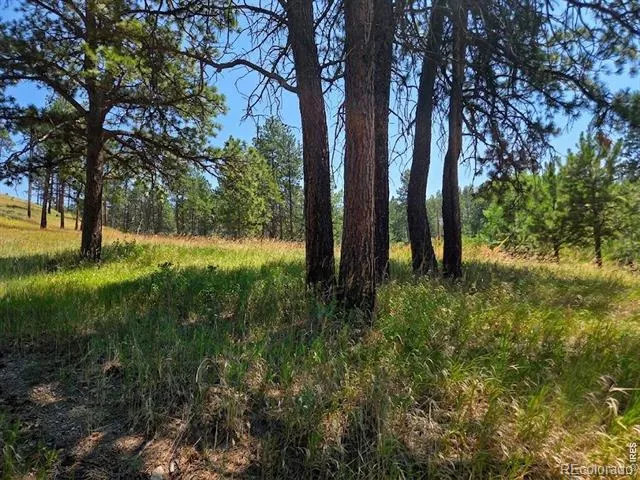 620 Davis Ranch Road Bellvue, CO 80512