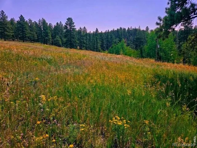 620 Davis Ranch Road Bellvue, CO 80512