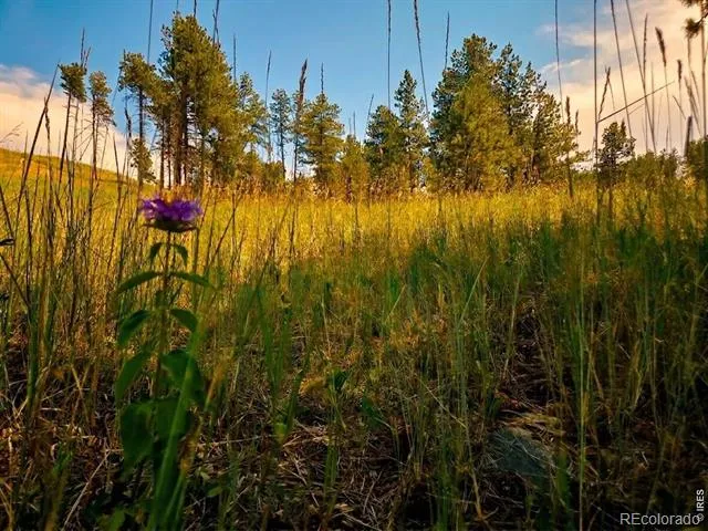 620 Davis Ranch Road Bellvue, CO 80512