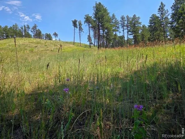 620 Davis Ranch Road Bellvue, CO 80512