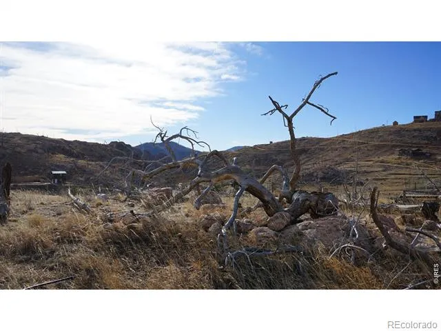 654 Horse Mountain Drive Livermore, CO 80536