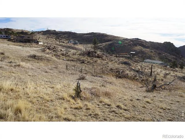 654 Horse Mountain Drive Livermore, CO 80536