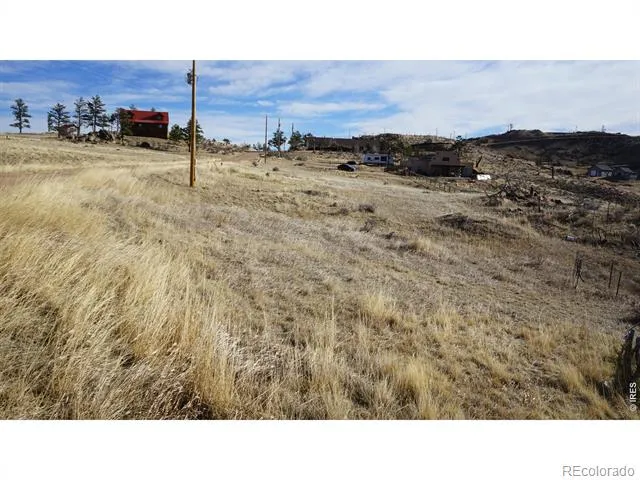654 Horse Mountain Drive Livermore, CO 80536
