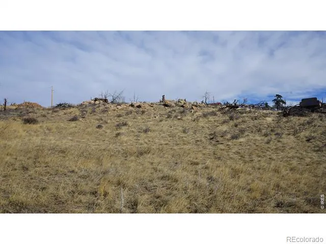 654 Horse Mountain Drive Livermore, CO 80536