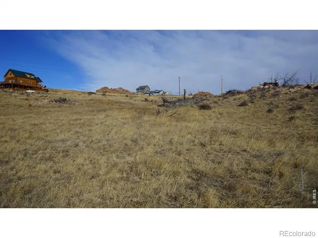 654 Horse Mountain Drive Livermore, CO 80536
