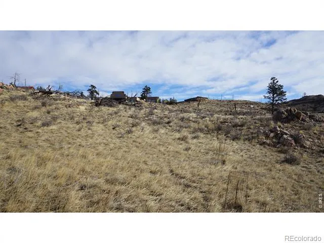 654 Horse Mountain Drive Livermore, CO 80536