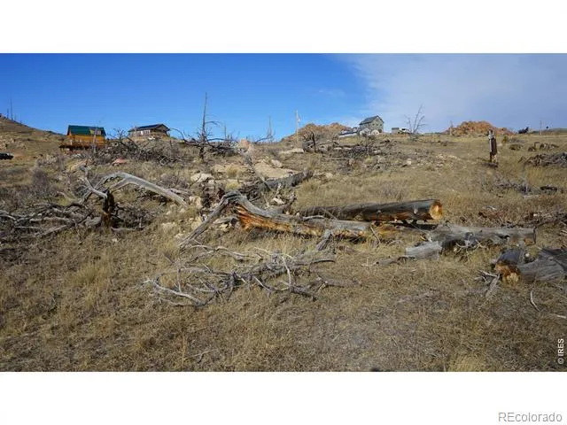 654 Horse Mountain Drive Livermore, CO 80536