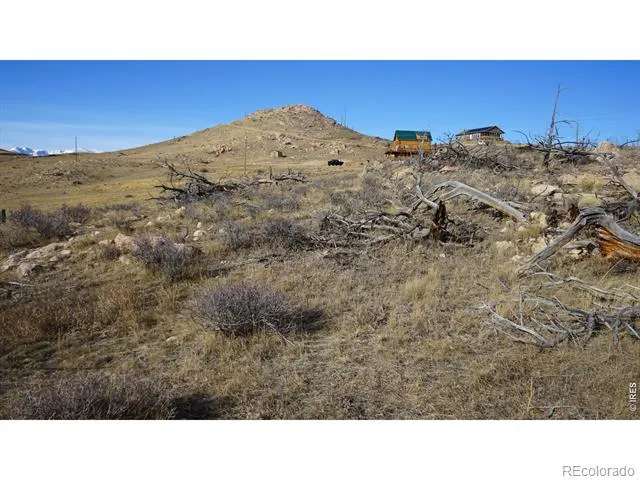 654 Horse Mountain Drive Livermore, CO 80536