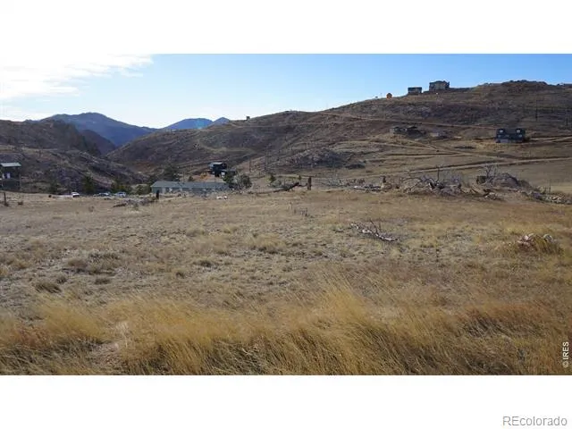 654 Horse Mountain Drive Livermore, CO 80536