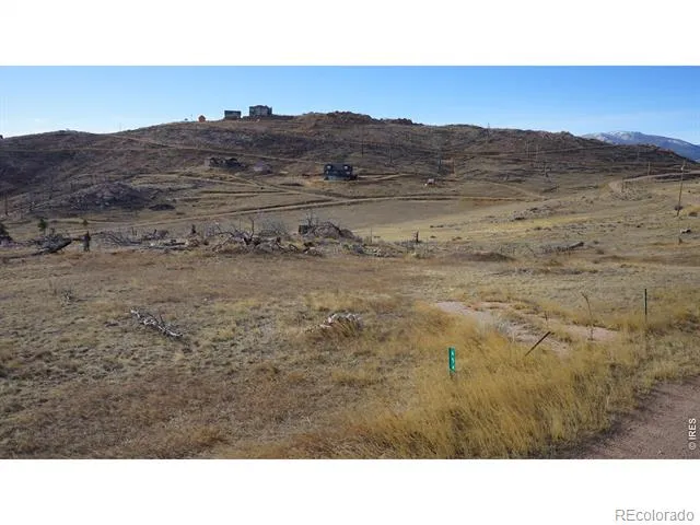 654 Horse Mountain Drive Livermore, CO 80536