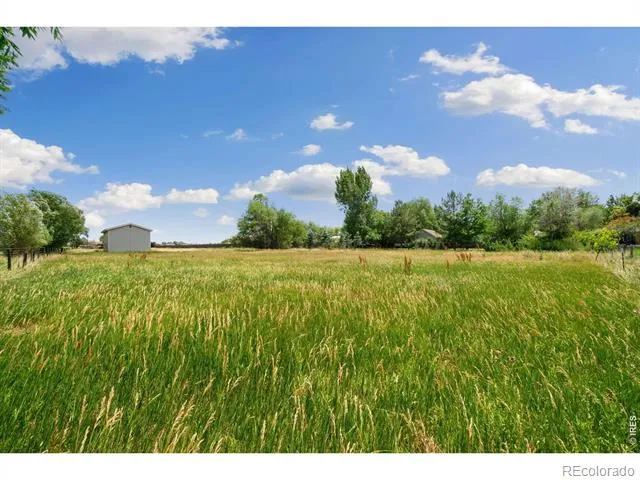 3534 Buckeye Street Fort Collins, CO 80524