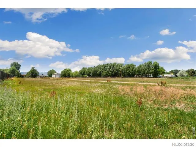 3534 Buckeye Street Fort Collins, CO 80524