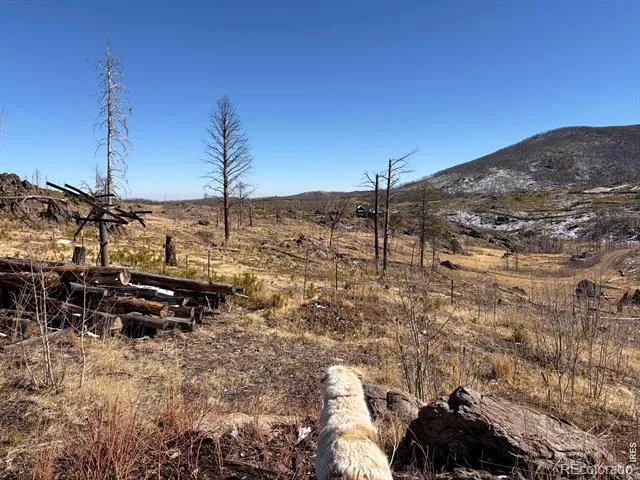 28 Agate Court Bellvue, CO 80512