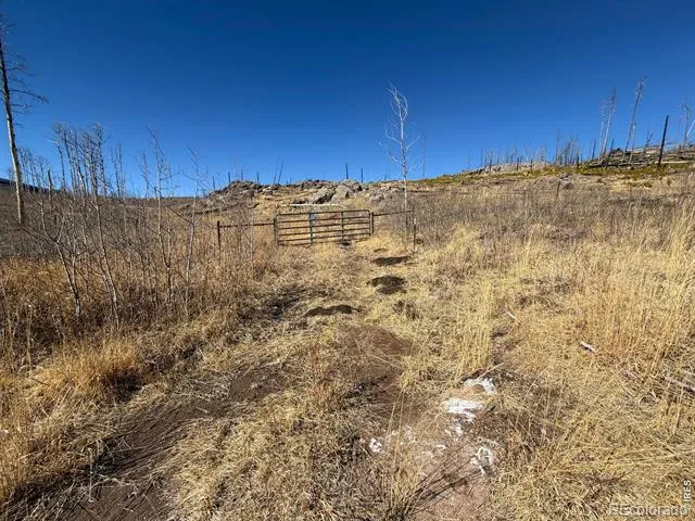 28 Agate Court Bellvue, CO 80512
