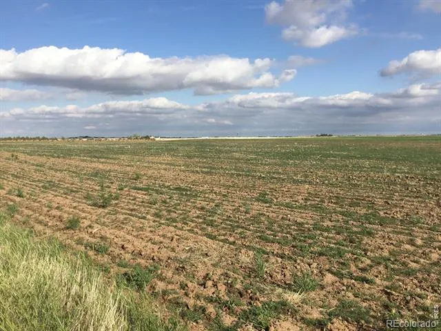 County Road 96 Road Nunn, CO 80648