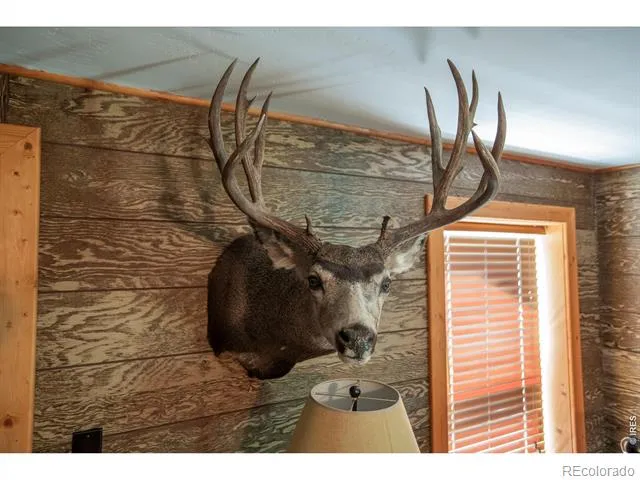 18880 County Road 500 Pagosa Springs, CO 81147