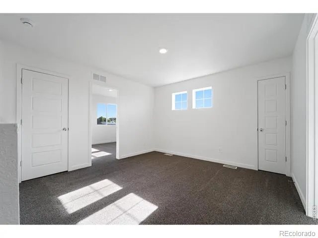 3813 Soapstone Street Evans, CO 80620