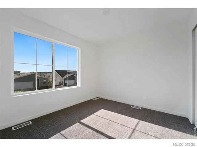 3813 Soapstone Street Evans, CO 80620