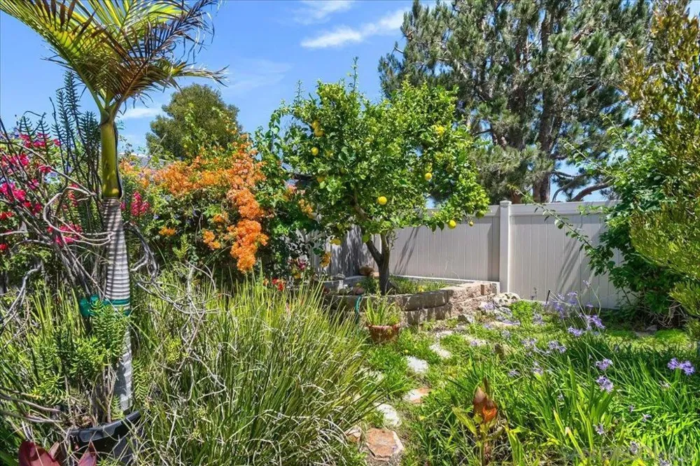 7175 Bobhird Drive San Diego, CA 92119