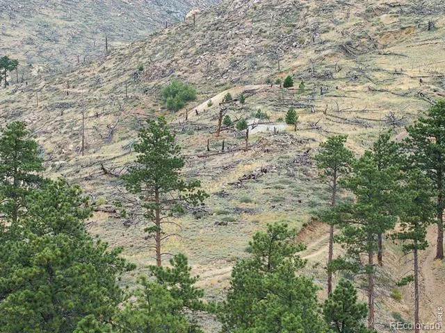 6319 Sunshine Canyon Drive Boulder, CO 80302