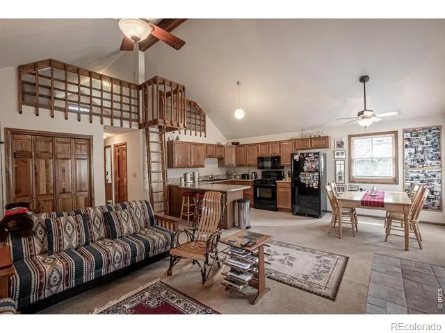 307 Brewster Lane Livermore, CO 80536