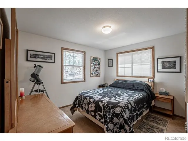 307 Brewster Lane Livermore, CO 80536