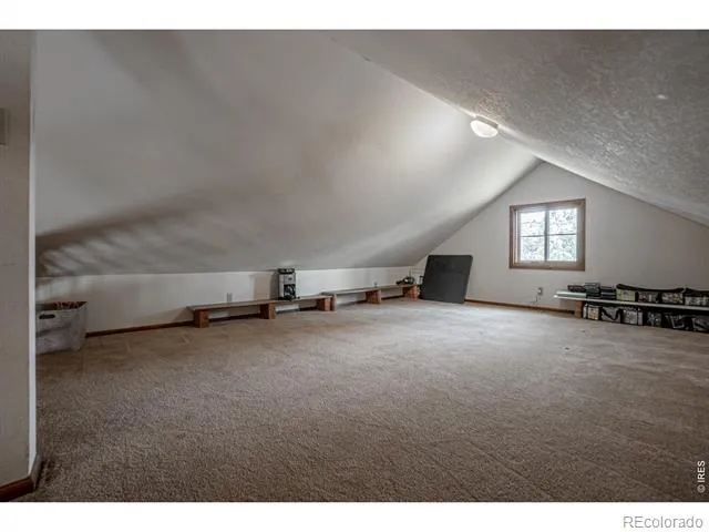307 Brewster Lane Livermore, CO 80536