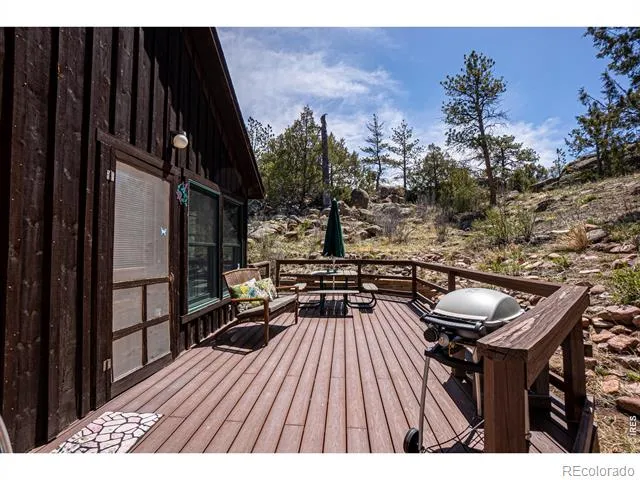 307 Brewster Lane Livermore, CO 80536