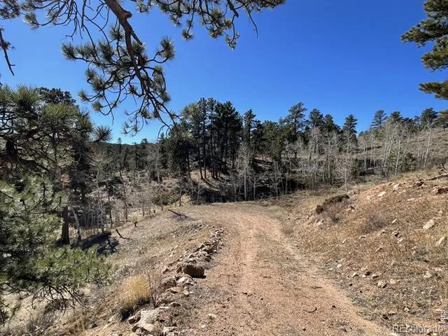 1018 Beartrap Road Red Feather Lakes, CO 80545