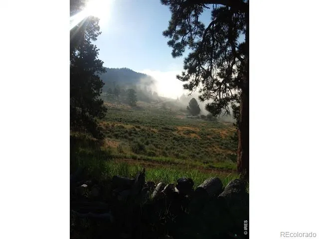 1018 Beartrap Road Red Feather Lakes, CO 80545