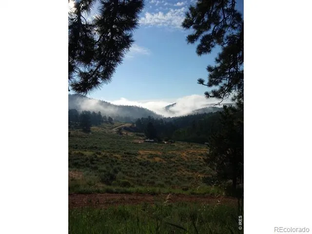 1018 Beartrap Road Red Feather Lakes, CO 80545