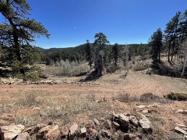 1018 Beartrap Road Red Feather Lakes, CO 80545