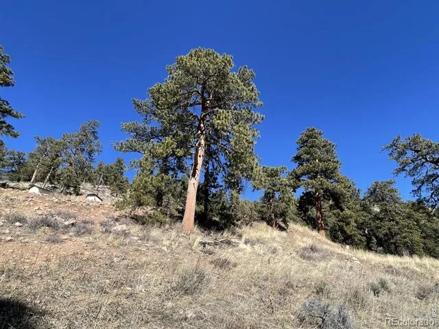 1018 Beartrap Road Red Feather Lakes, CO 80545