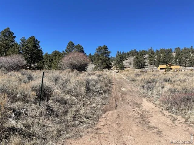 1018 Beartrap Road Red Feather Lakes, CO 80545