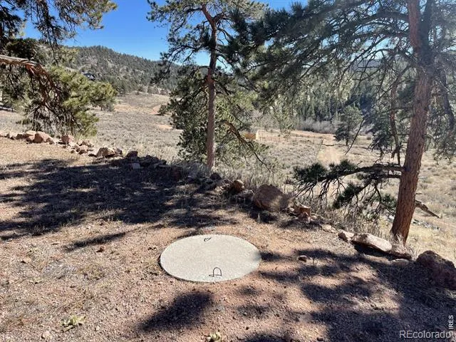 1018 Beartrap Road Red Feather Lakes, CO 80545