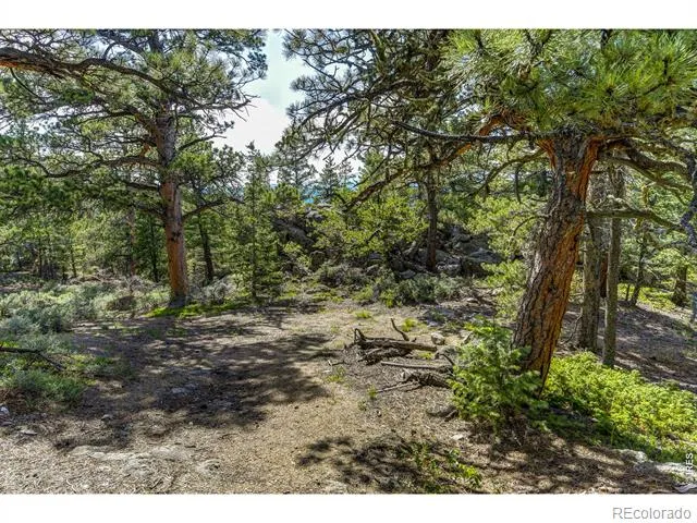 3153 Ridge Road Nederland, CO 80466