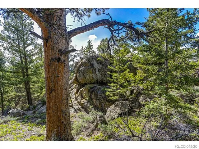 3153 Ridge Road Nederland, CO 80466